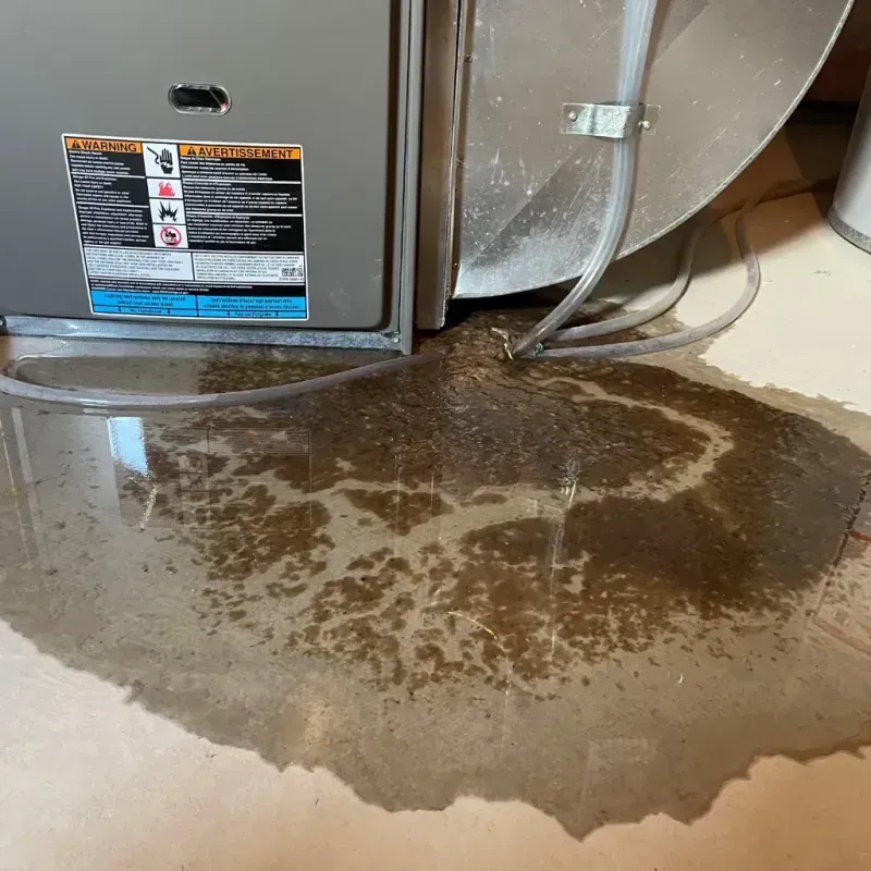 Appliance Leak Cleanup in Aurora, UT